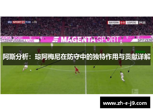 阿斯分析：琼阿梅尼在防守中的独特作用与贡献详解
