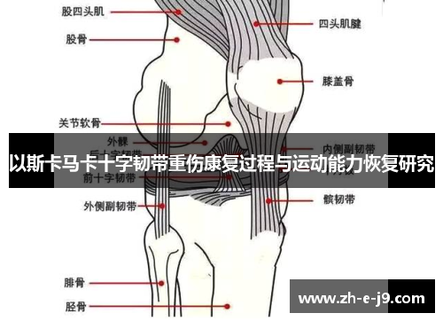 以斯卡马卡十字韧带重伤康复过程与运动能力恢复研究